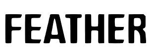 feather logo